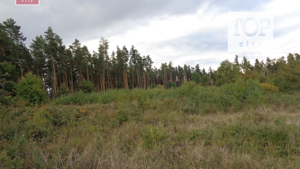 Predaj les Vlková , 46712 m2.