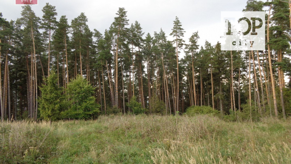 Predaj les Vlková , 46712 m2.