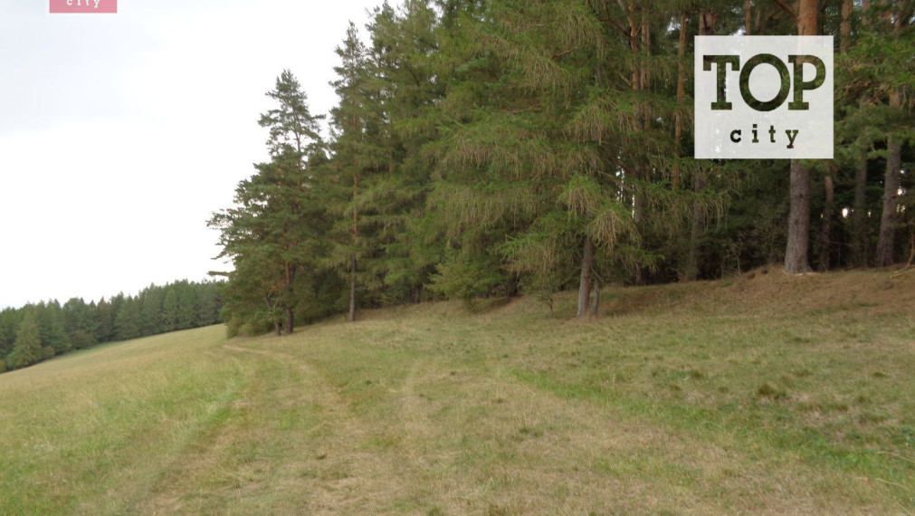 Predaj les Vlková , 46712 m2.