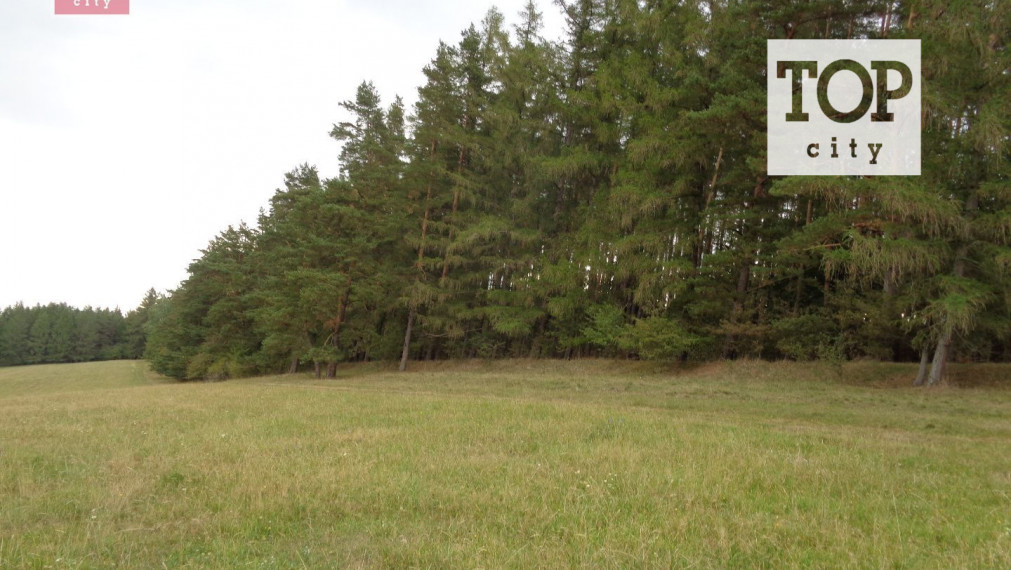 Predaj les Vlková , 46712 m2.