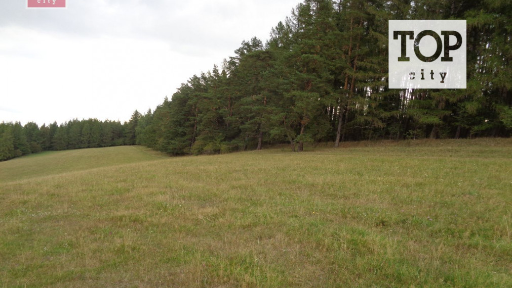 Predaj les Vlková , 46712 m2.