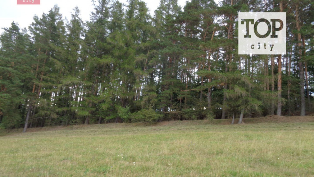 Predaj les Vlková , 46712 m2.