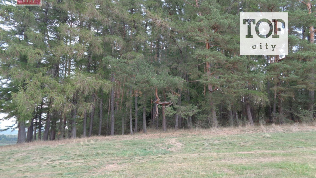 Predaj les Vlková , 46712 m2.