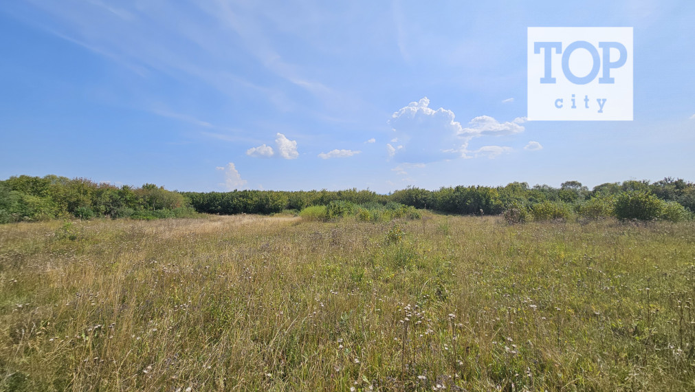 EXKLUZÍVNA PONUKA: PRIESTRANNÝ POZEMOK PRI SVLOVENSKEJ VSI