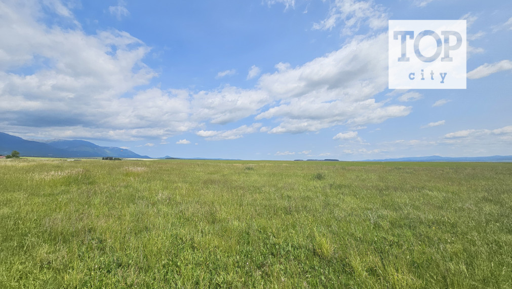 NA PREDAJ: INVESTIČNÝ POZEMOK V MLYNICI