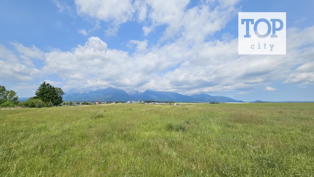 NA PREDAJ: INVESTIČNÝ POZEMOK V MLYNICI