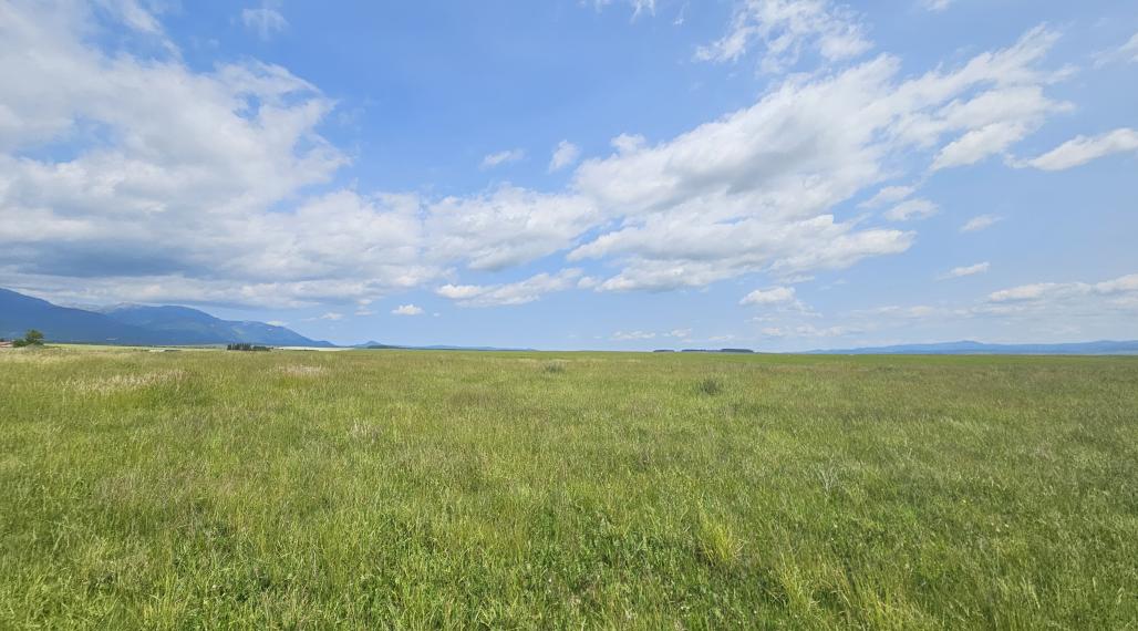 NA PREDAJ: INVESTIČNÝ POZEMOK V MLYNICI