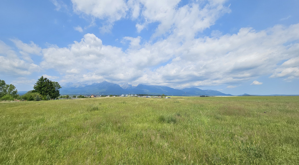 NA PREDAJ: INVESTIČNÝ POZEMOK V MLYNICI