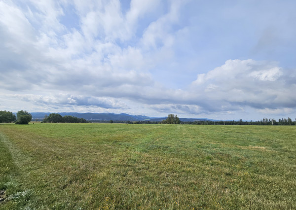 NA PREDAJ: INVESTIČNÝ POZEMOK V OBCI GERLACHOV