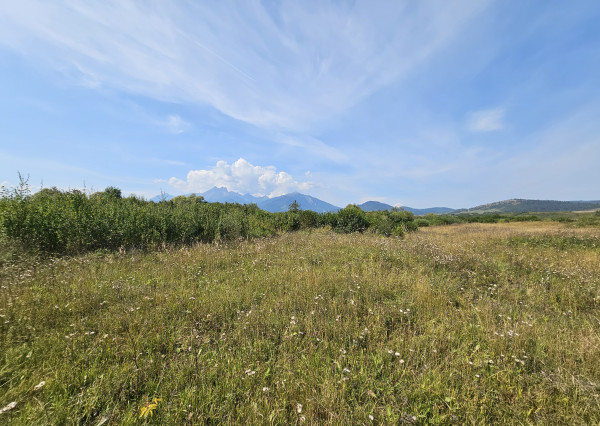 EXKLUZÍVNA PONUKA: PRIESTRANNÝ POZEMOK PRI SVLOVENSKEJ VSI
